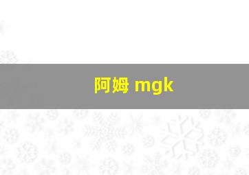 阿姆 mgk